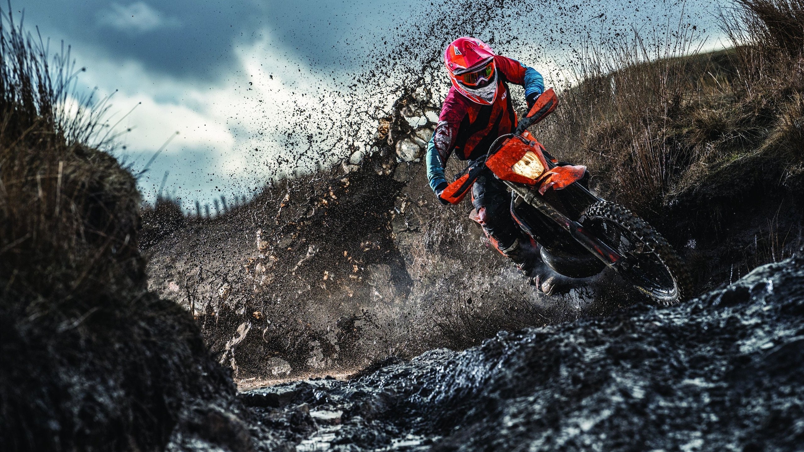 “武汉马拉松:挑战极限,谁能破纪录?”