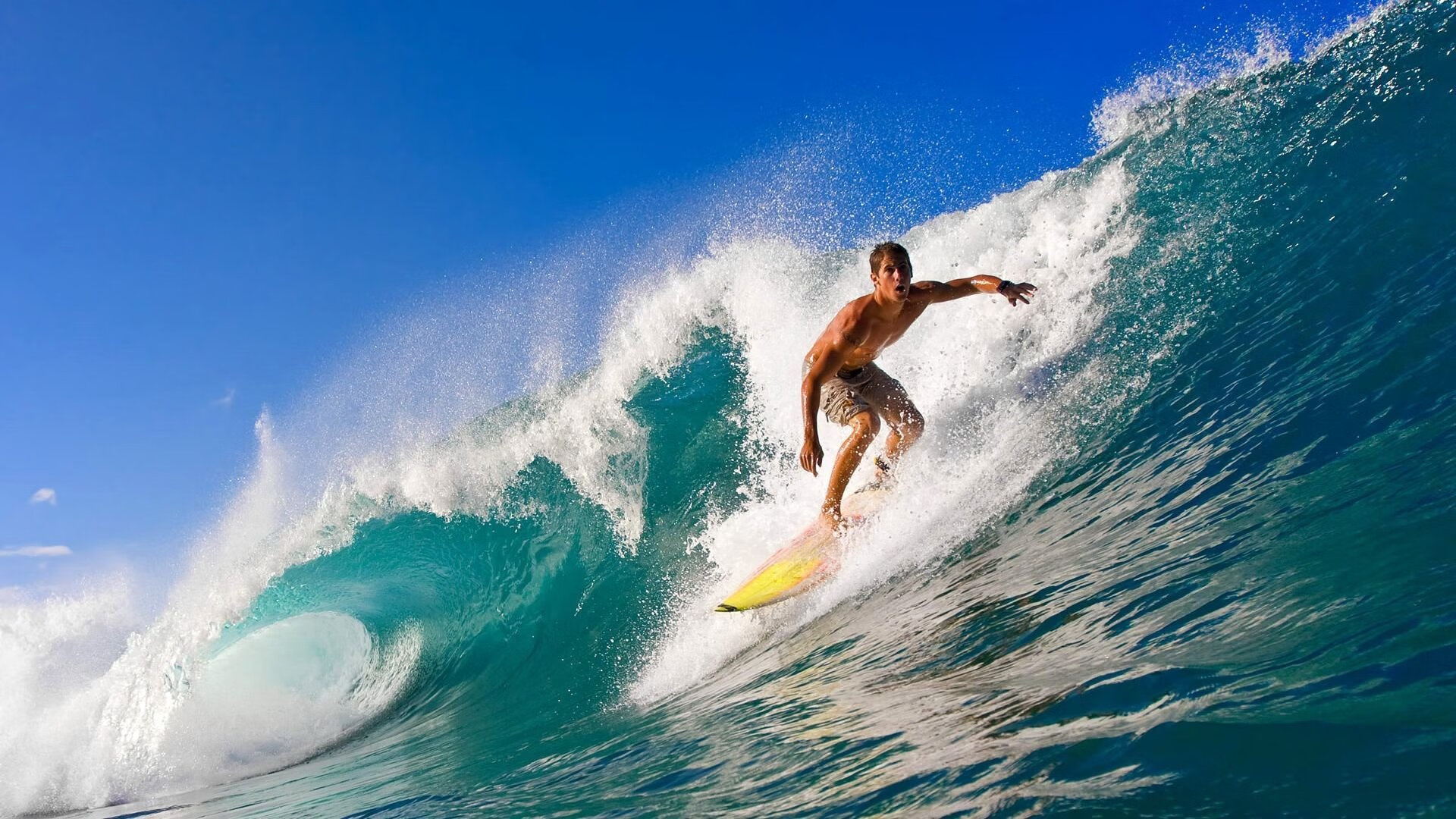 世界杯激热对决:梦想成真!,世界杯集锦视频