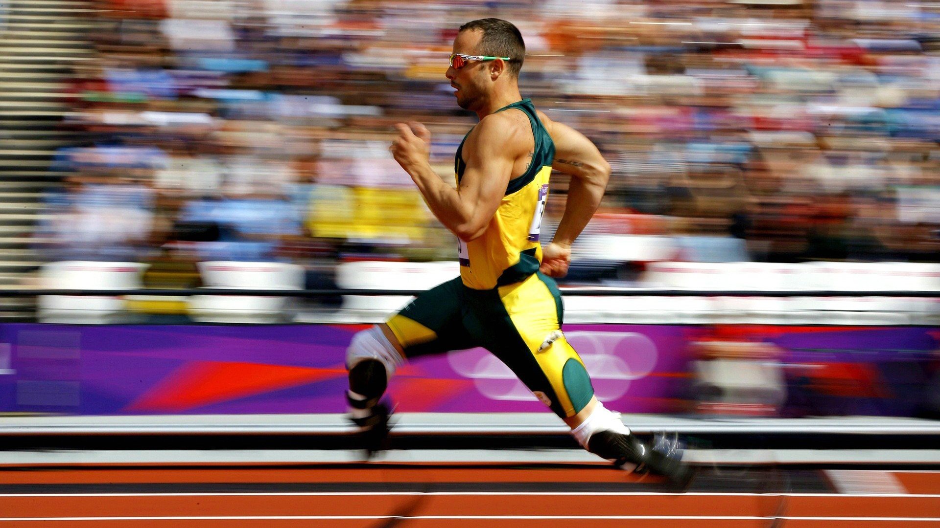 篮板保护意识最强的内线球员，篮板谁最强